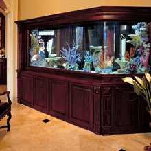 Aquarium