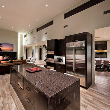 Terry Kilbane / Desert Modern / Saguaro Forest / Desert Mountain
