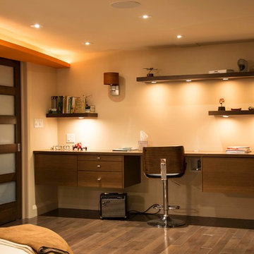 Multi-Functional Basement