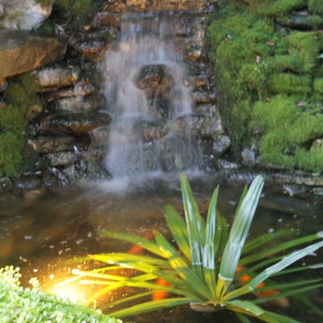 Tropical Backyard Oasis - waterfall and koi pond