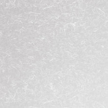 Window Films