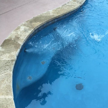 Rodriguez Family Pool
