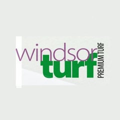 Windsor Turf