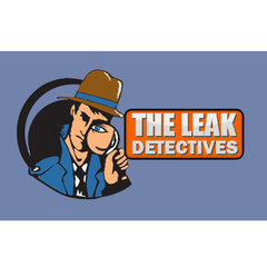 The Leak Detectives