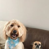 Joanne Scuderi's photo