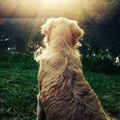 Renee Odom's photo