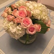 April Johnson's photo
