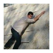 Stephen Weiner's photo