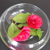 Ashley McNaughton's photo