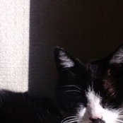 Junko Fujimoto's photo