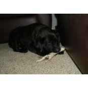 Leilani Leighton's photo