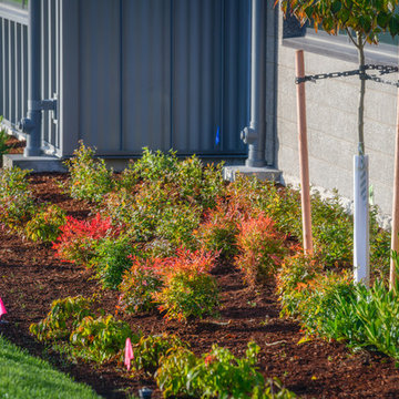 COMMERCIAL LANDSCAPE SERVICES