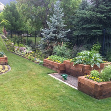 Outdoor Landscape