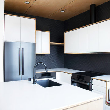 Penthouse Remodel in Corbett Heights