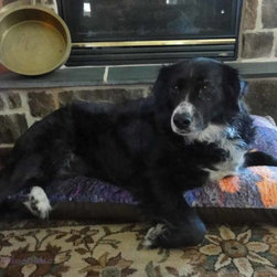 Dog Beds - Products