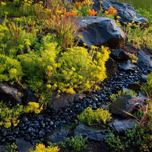 Dry River Bed