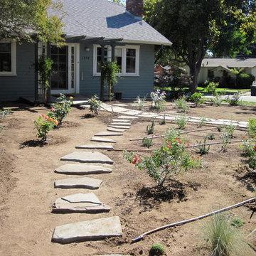 Turf Removal to Beautiful Garden for Birds, Bees, and Butterflies