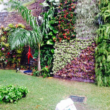 vertical garden