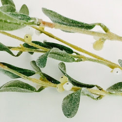 Mistletoe - Seasonal Decorations