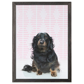 "Dog Collection, Doxie on Pink" Mini Framed Canvas by Catherine Ledner