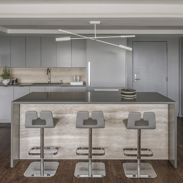 Modern Light Gray Kitchen