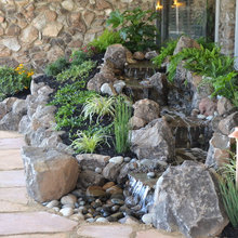 Japanese garden