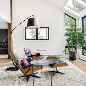 Genesee Mountain Modern