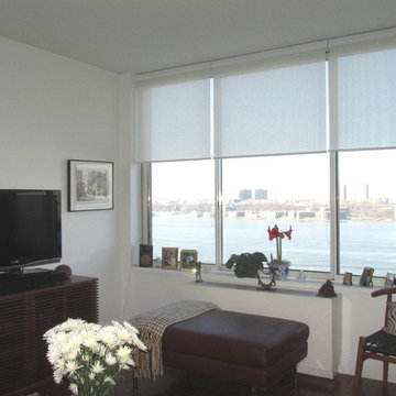 Curtain Call Roller Shade and Roller Blind