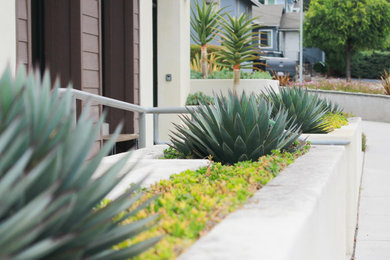 Design ideas for a contemporary landscaping in San Luis Obispo.