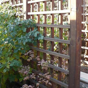 Side Yards