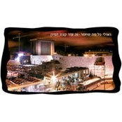 שירן פלג's photo