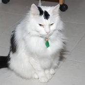 Frank Bowden's photo