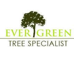 Evergreen Tree Specialists