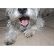 Gail Foerster's photo
