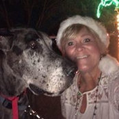 Lisa Wierenga's photo