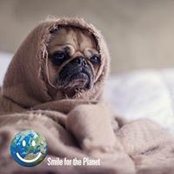 Johannes Veith's photo