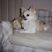 Melanie Beatty's photo