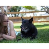 Monica Grimm-Wilson's photo