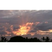 Elizabeth Aspromonte-Pulaski's photo