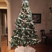 Sally Tomlinson's photo