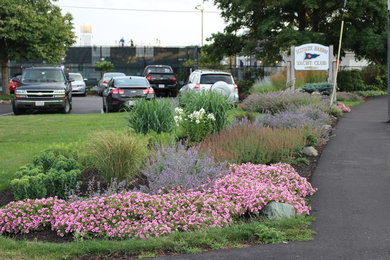 This is an example of a coastal landscaping in Boston.