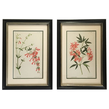 Original Vintage 1958 English Botanical Framed Prints, Set of 2