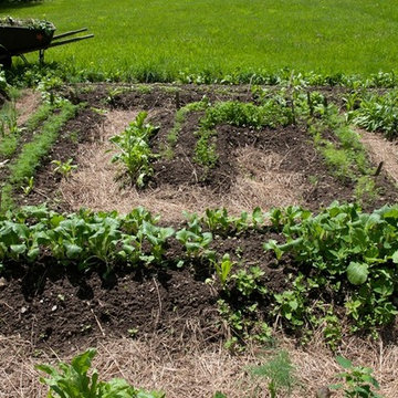 The Complete Kitchen Garden Book
