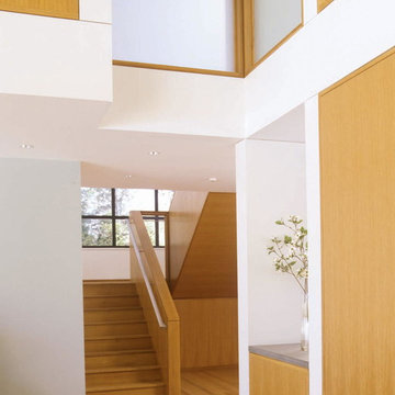 New Darien Home
