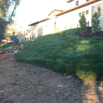 El Dorado Hills - Serrano Complete Landscape