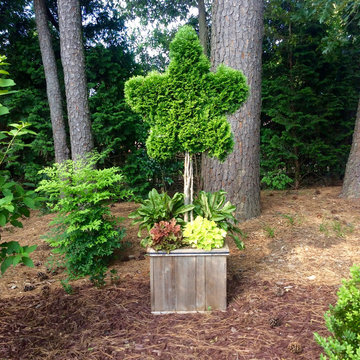 Garden Viewpoints