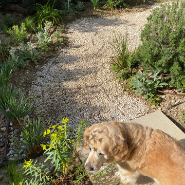 Grand large - la garrigue en rez-de-jardin