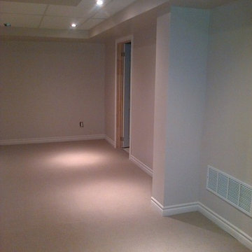Basement Remodel