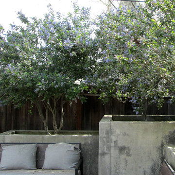 Palo Alto, California - Stewart Family Garden