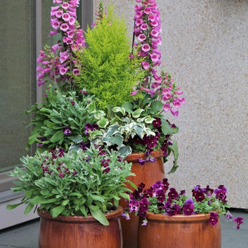 Seasonal Display